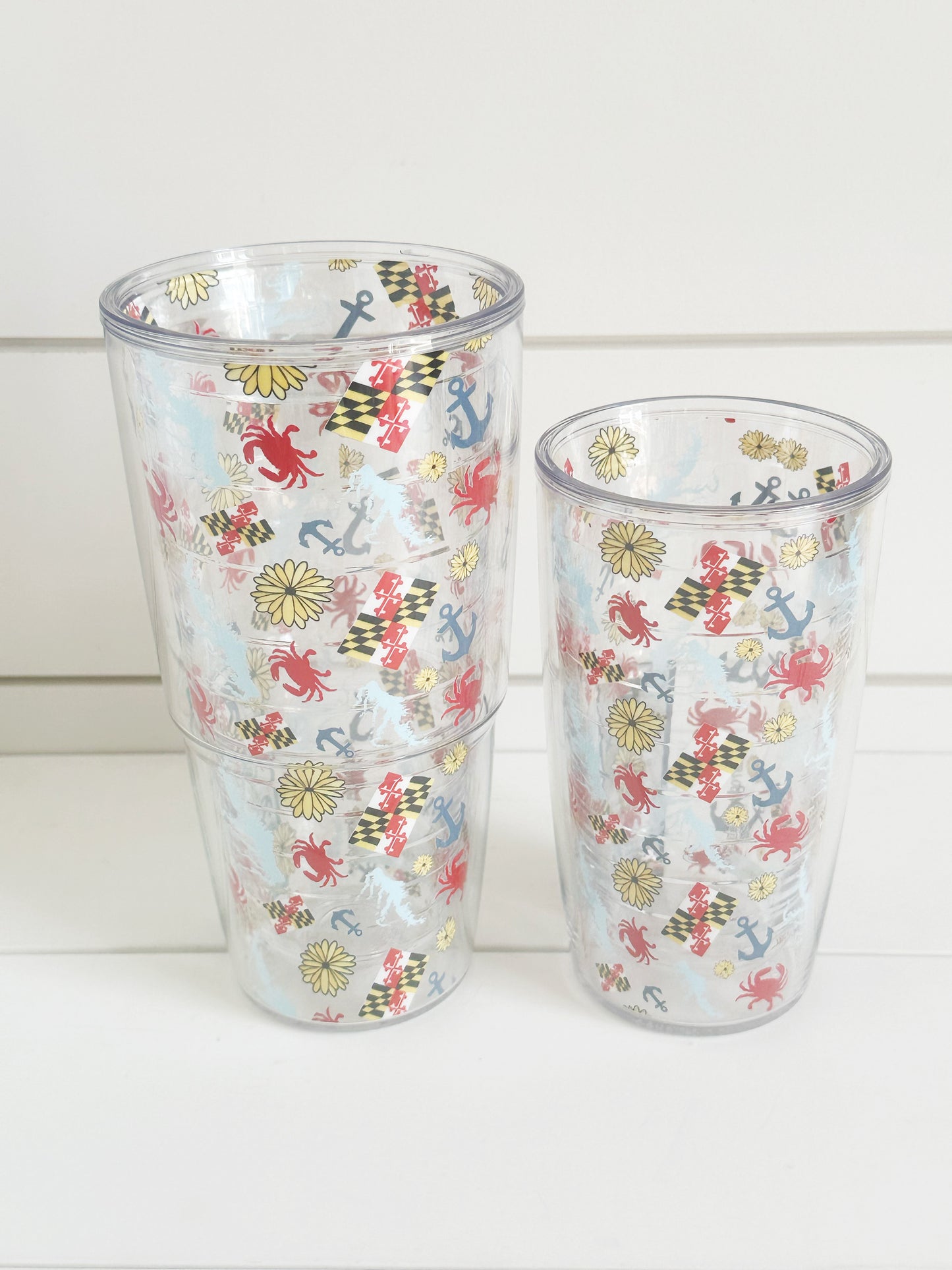Chesapeake Bay Tervis