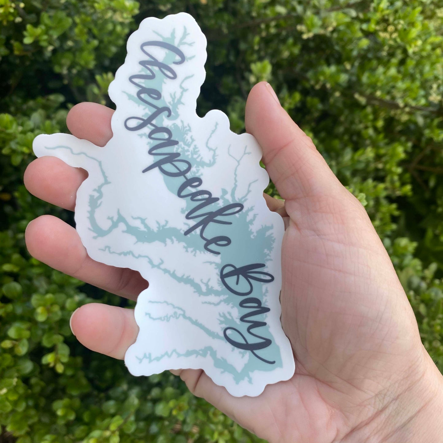 Chesapeake Bay Sticker