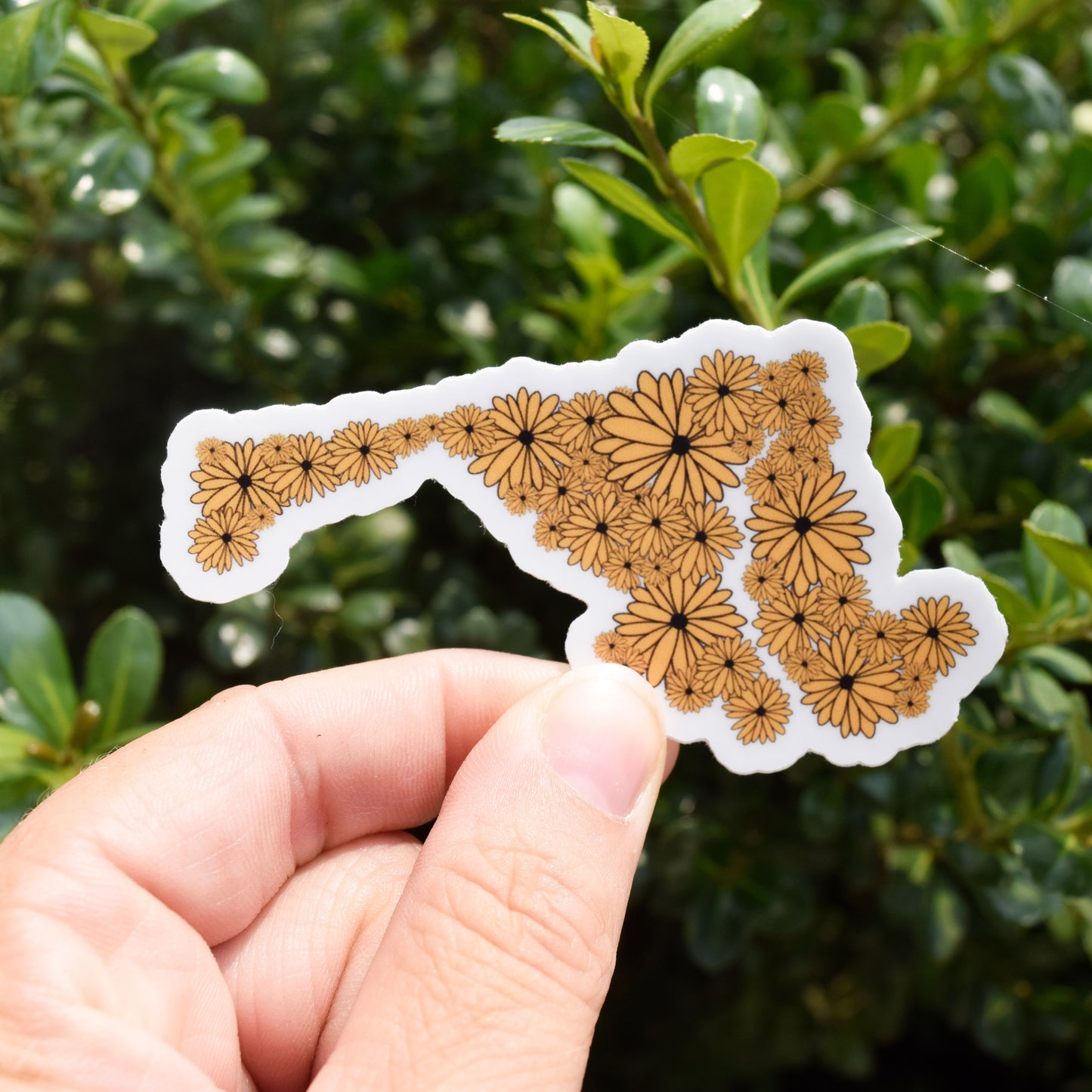 Black Eyed Susan State Sticker
