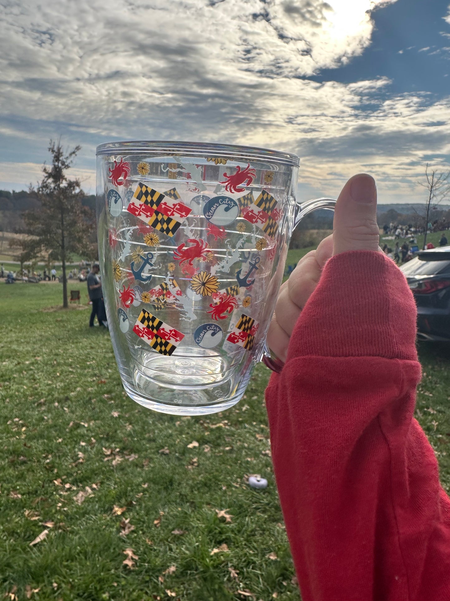 Chesapeake Bay Tervis