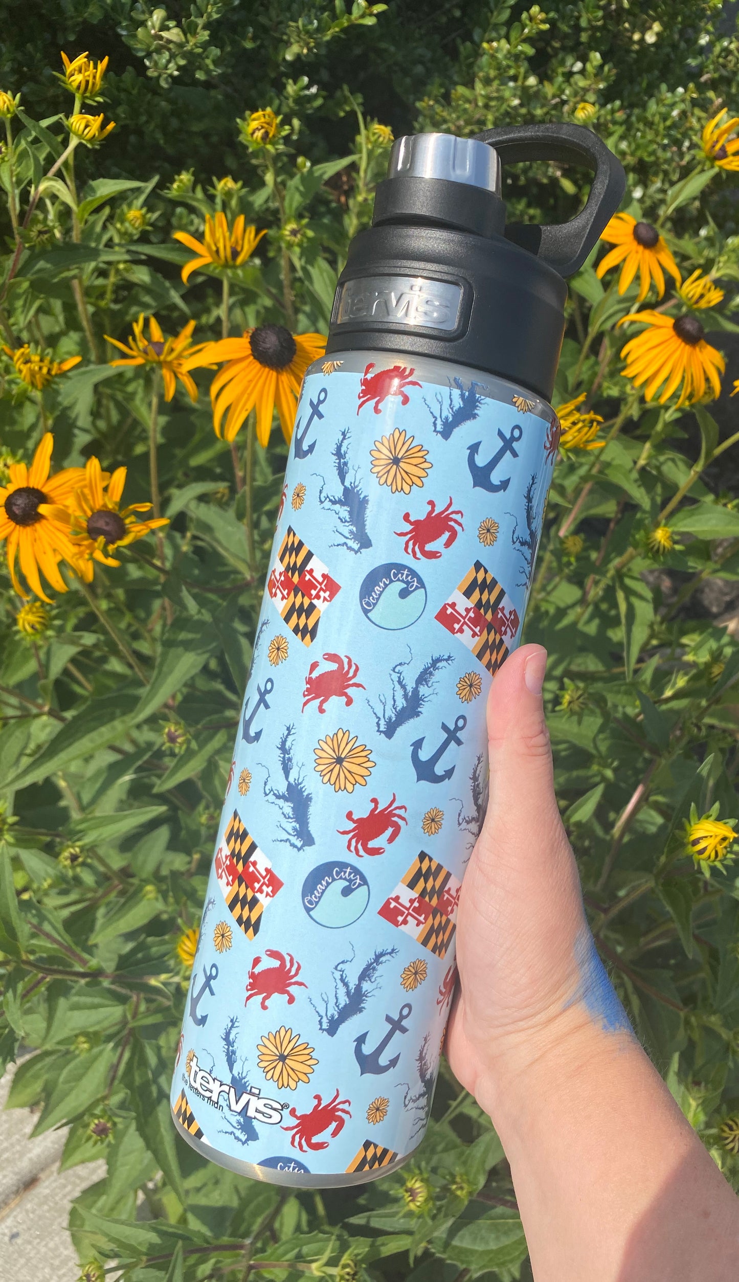 Chesapeake Bay Tervis