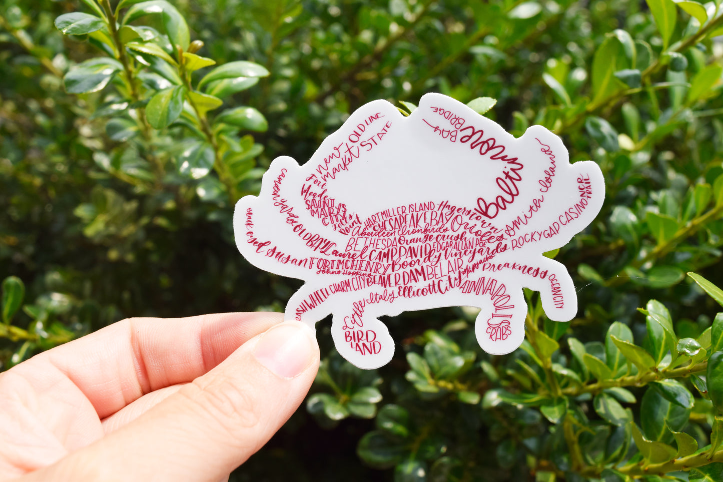 Maryland Hand Lettered Crab Stickers