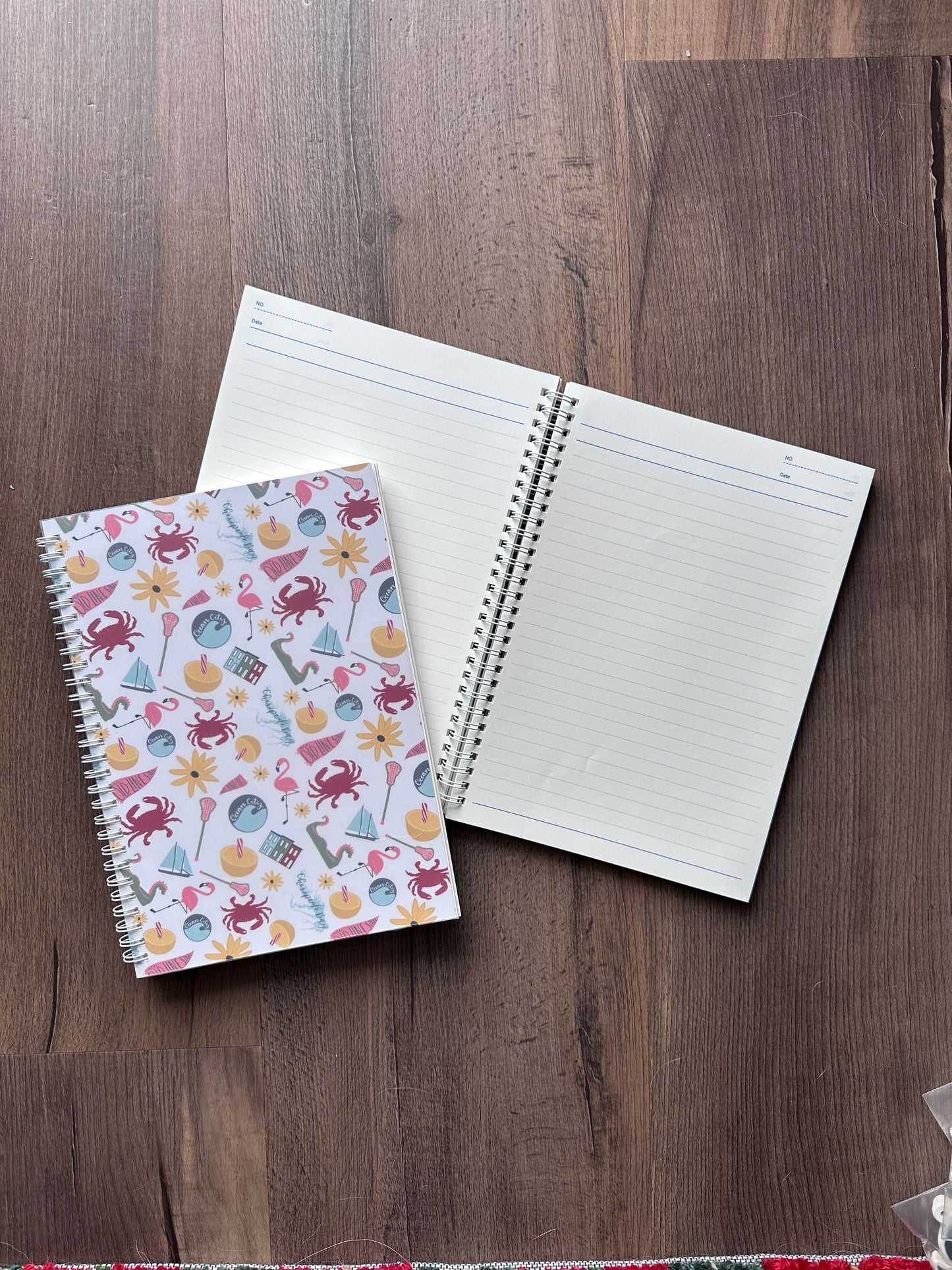 Summer in Baltimore Notebook